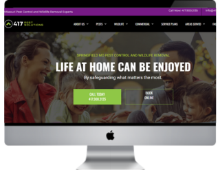 Custom WordPress development Services